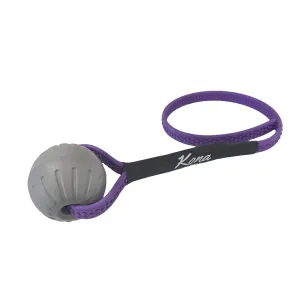 Grizzly Tug Toy - Mystery